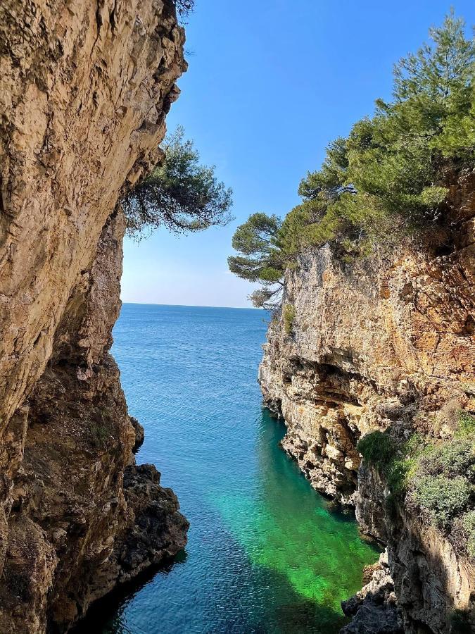 Holiday Home Bukovac พูลา ภายนอก รูปภาพ